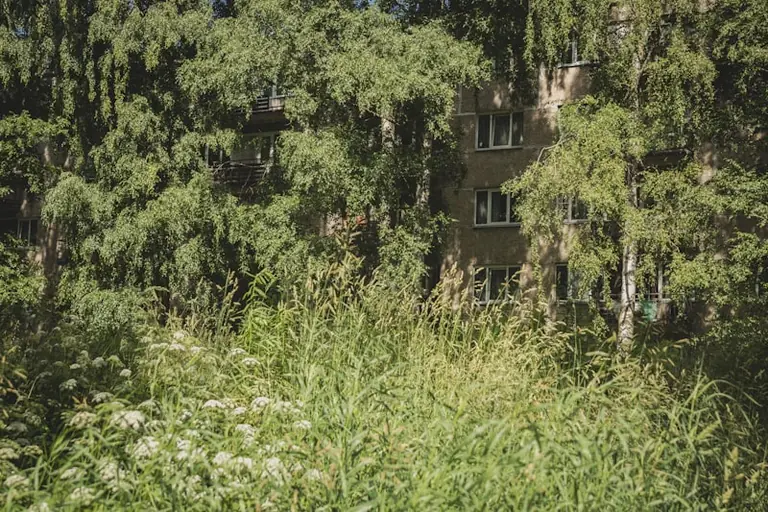 Rīgā septembrī mainīs NĪN atvieglojumu pieteikšanas kārtību