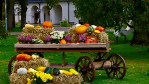 Miķeļi un Mārtiņi Latvijas rudens tradīcijās